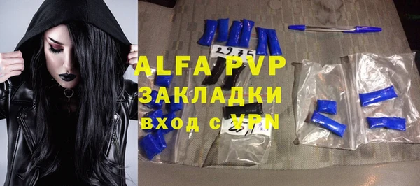 индика Алзамай