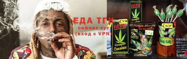 индика Алзамай
