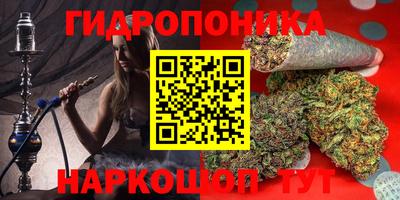 первитин Бердск