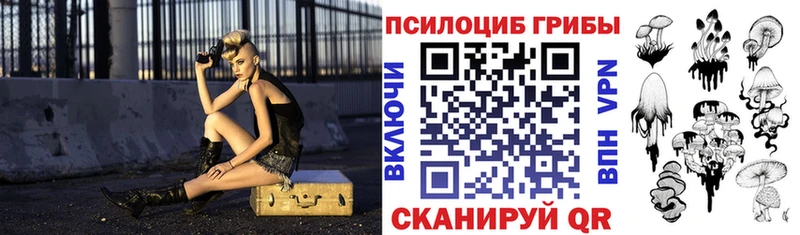 кракен tor  Саки  Галлюциногенные грибы Cubensis 