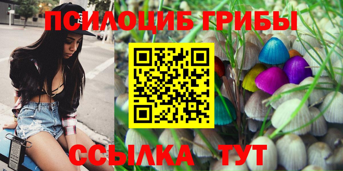 Саки  Галлюциногенные грибы Psilocybe  Вход с VPN 